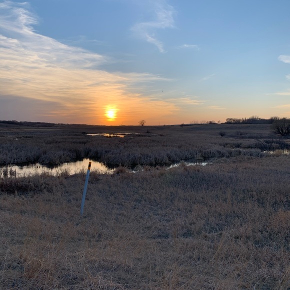 Meet the Posher Other - Meet your Posher, Jessica